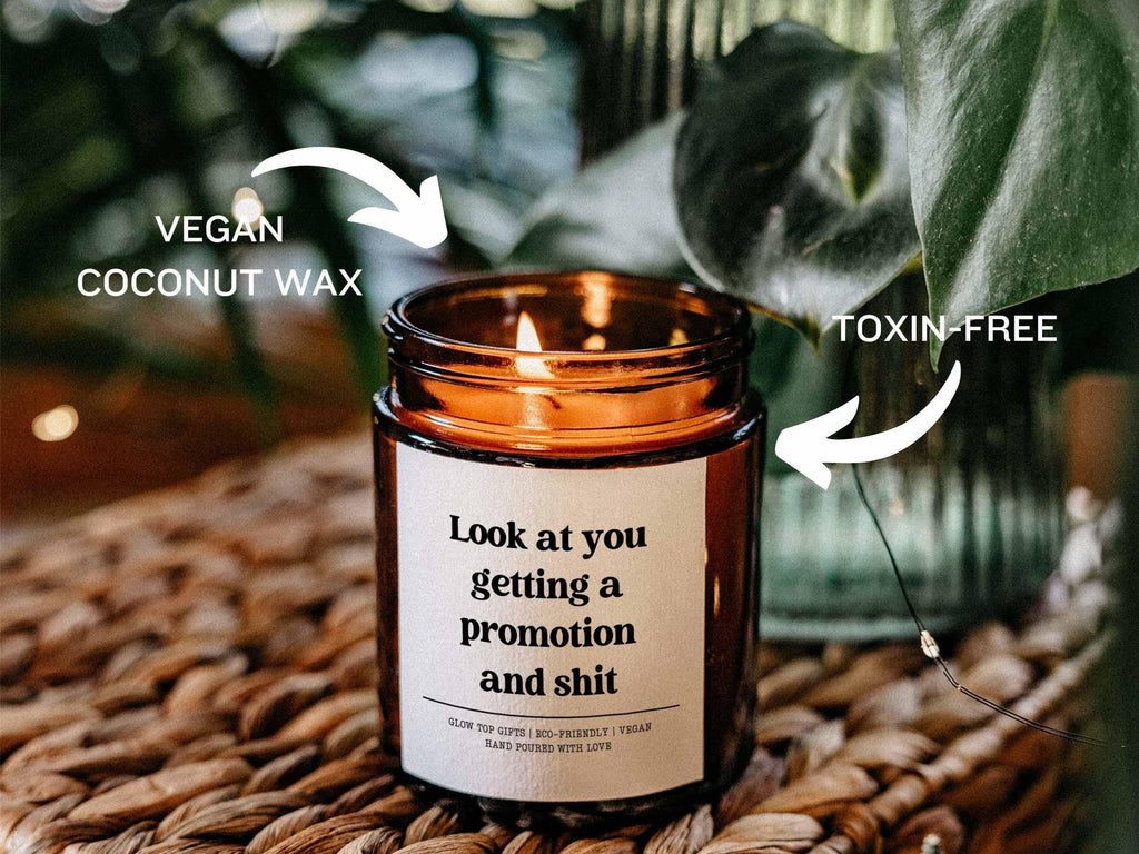 Look at You Getting a Promotion and Shit, Funny Congrats on Your New Job Gift, Scented Candle, Eco-Friendly Candle, Gift for Friend, New Job